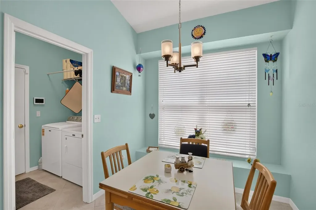 11115 Silver Dancer Drive Riverview FL 33579