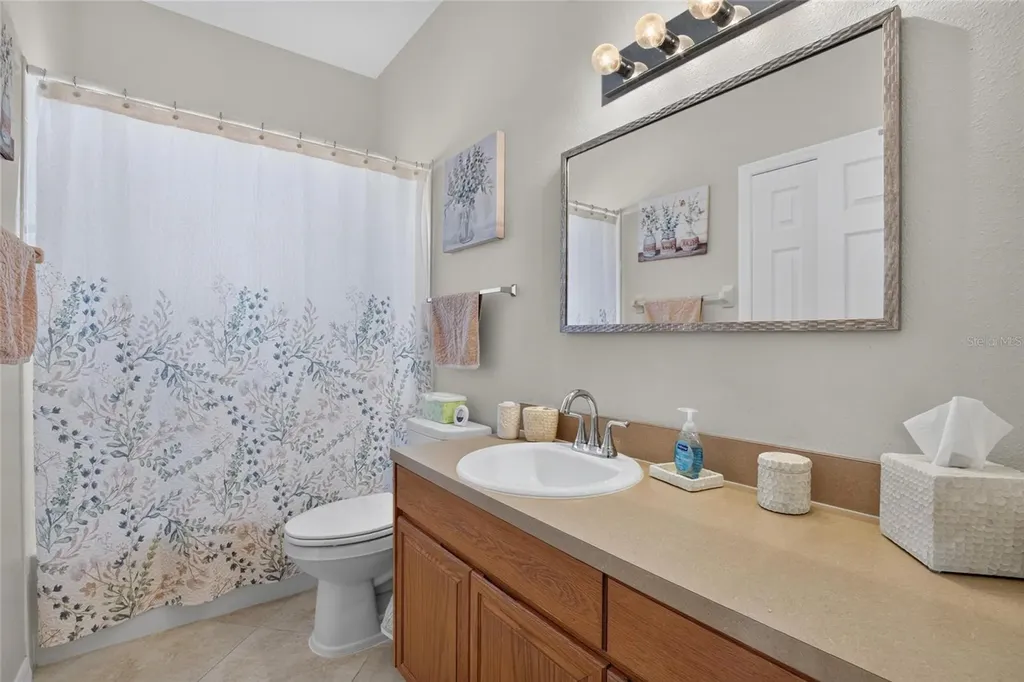 11115 Silver Dancer Drive Riverview FL 33579