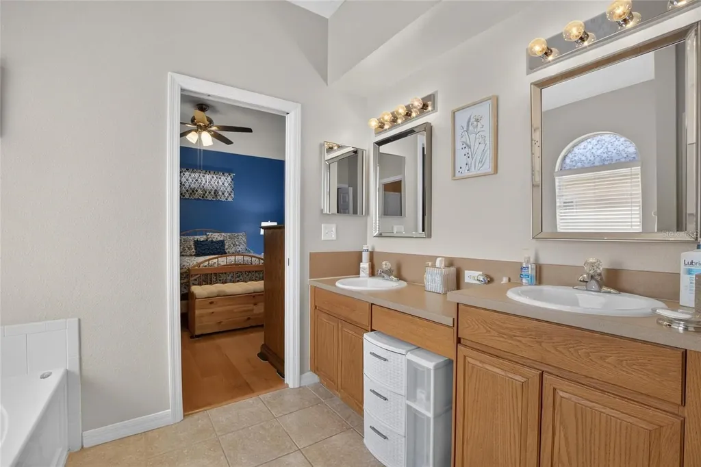 11115 Silver Dancer Drive Riverview FL 33579