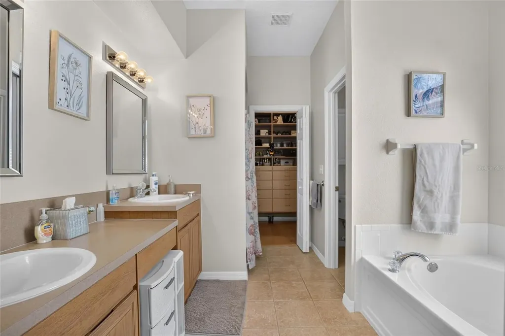 11115 Silver Dancer Drive Riverview FL 33579