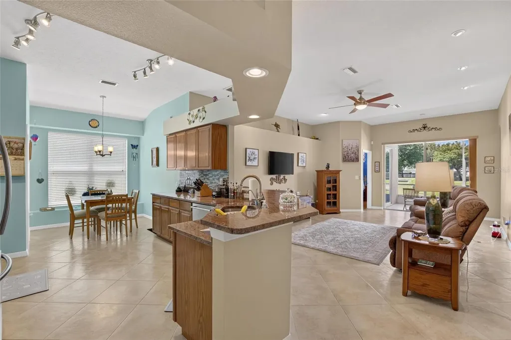 11115 Silver Dancer Drive Riverview FL 33579