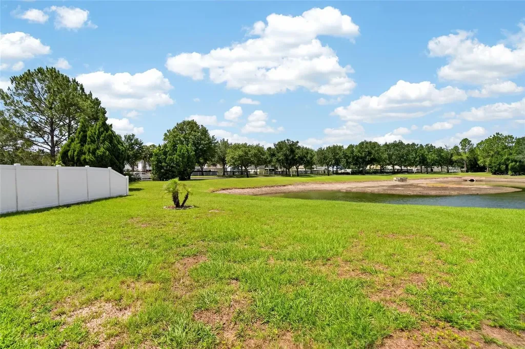 11115 Silver Dancer Drive Riverview FL 33579
