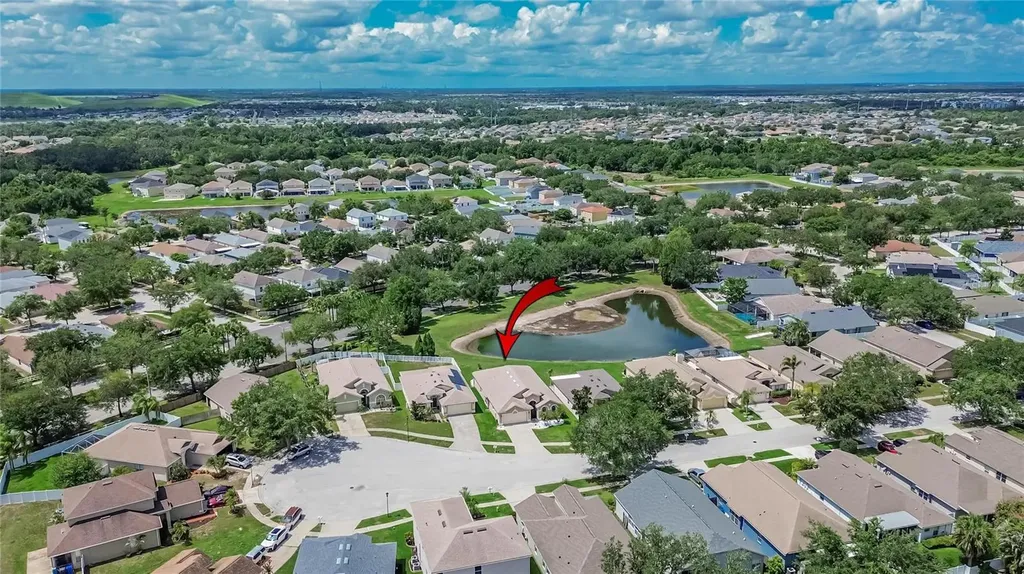 11115 Silver Dancer Drive Riverview FL 33579