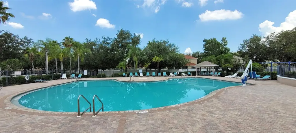 11115 Silver Dancer Drive Riverview FL 33579