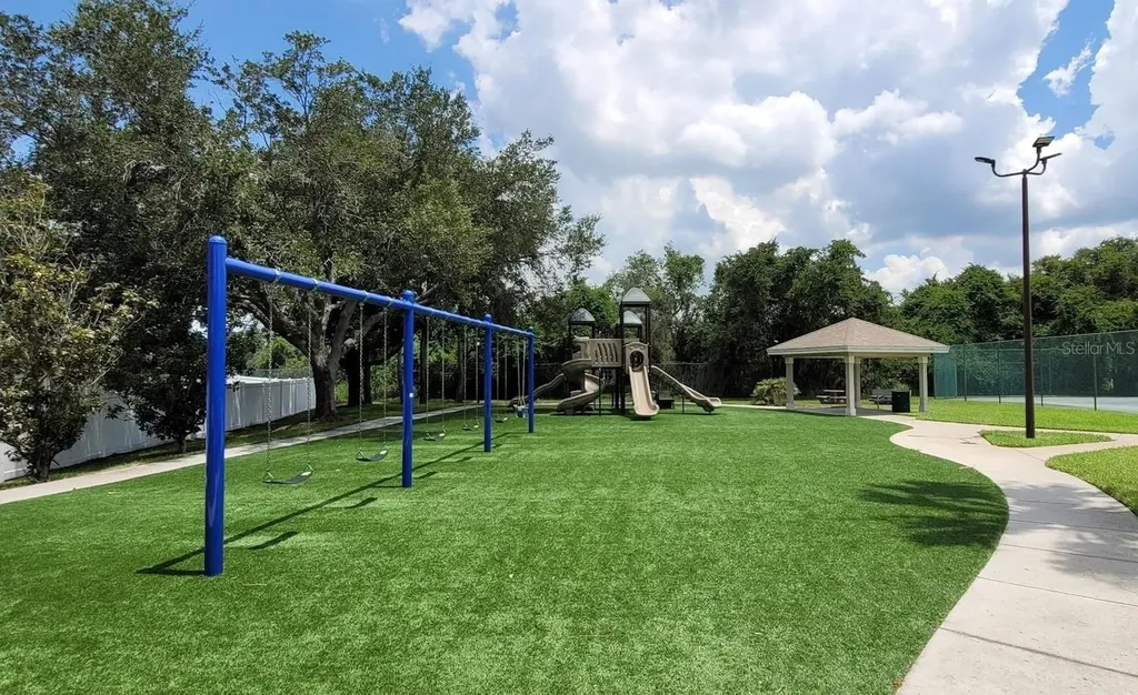 11115 Silver Dancer Drive Riverview FL 33579