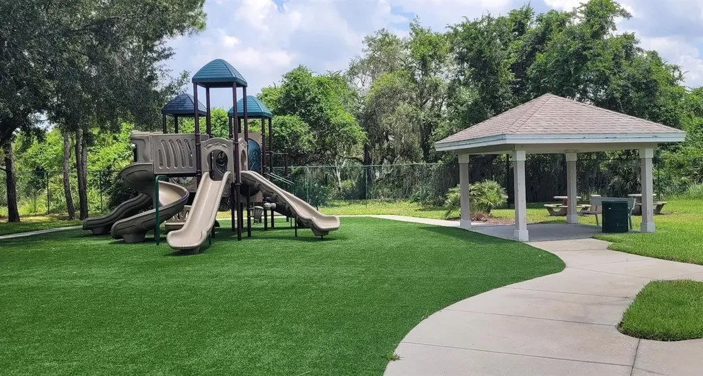 11115 Silver Dancer Drive Riverview FL 33579