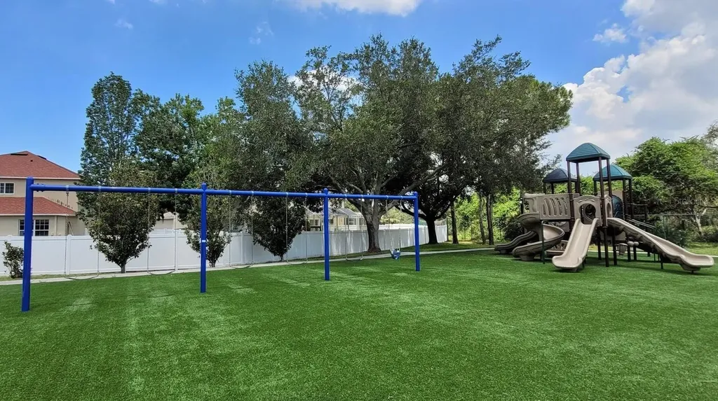 11115 Silver Dancer Drive Riverview FL 33579
