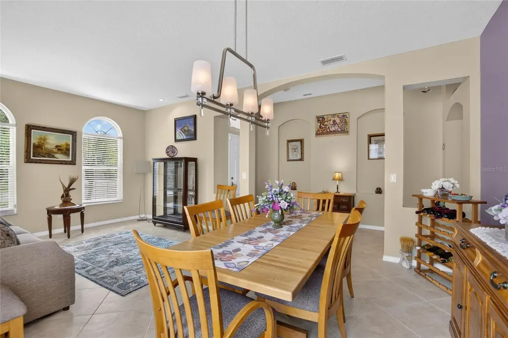 11115 Silver Dancer Drive Riverview FL 33579