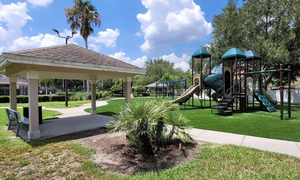11115 Silver Dancer Drive Riverview FL 33579