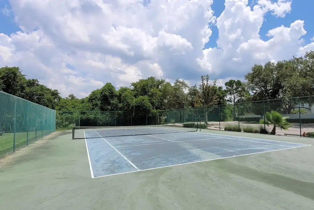 11115 Silver Dancer Drive Riverview FL 33579