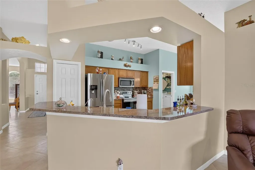 11115 Silver Dancer Drive Riverview FL 33579