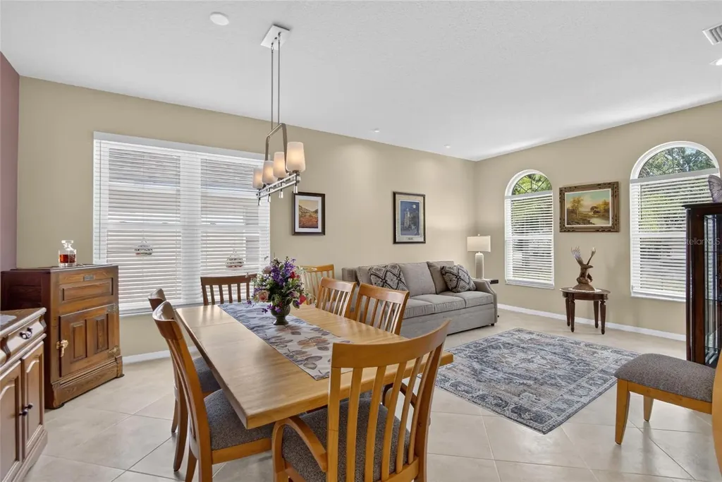 11115 Silver Dancer Drive Riverview FL 33579