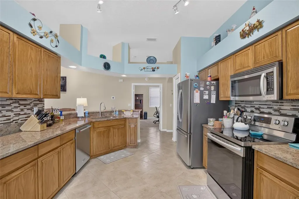 11115 Silver Dancer Drive Riverview FL 33579