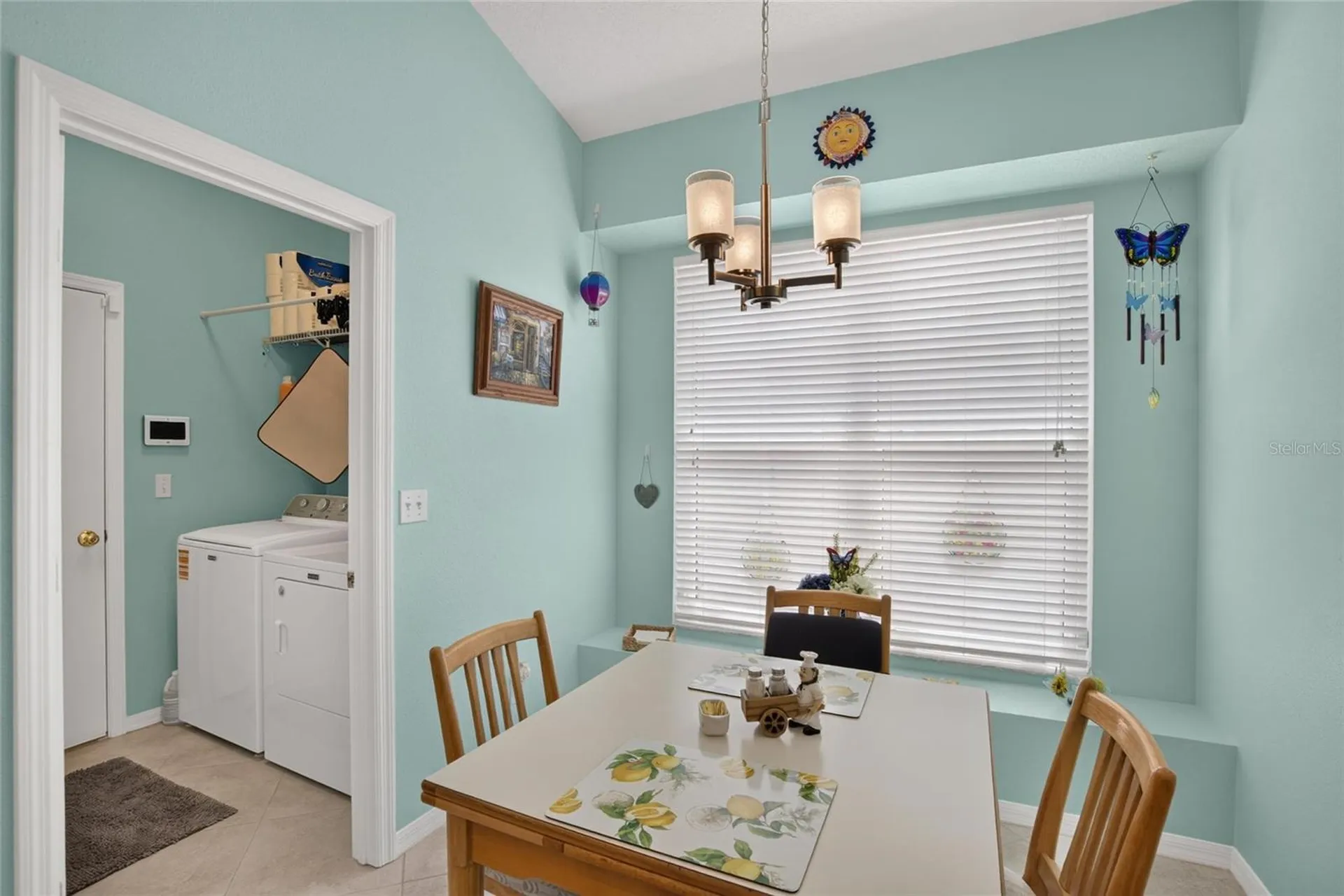 11115 Silver Dancer Drive Riverview FL 33579
