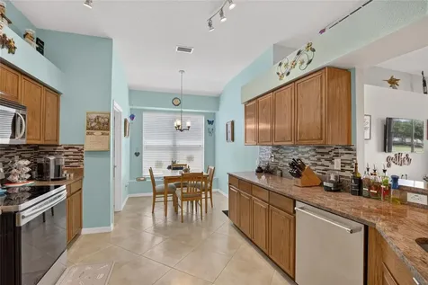 11115 Silver Dancer Drive Riverview FL 33579