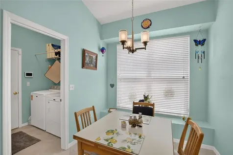 11115 Silver Dancer Drive Riverview FL 33579