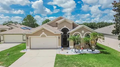 11115 Silver Dancer Drive Riverview FL 33579