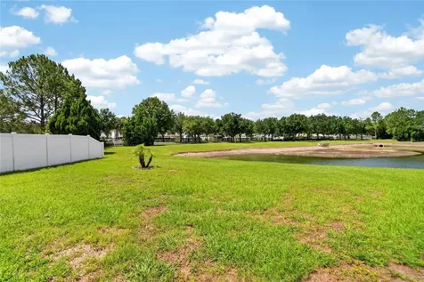 11115 Silver Dancer Drive Riverview FL 33579