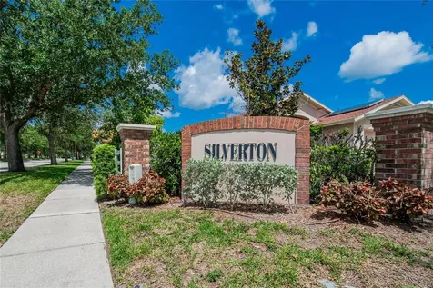 11115 Silver Dancer Drive Riverview FL 33579