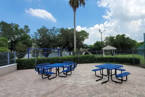 11115 Silver Dancer Drive Riverview FL 33579
