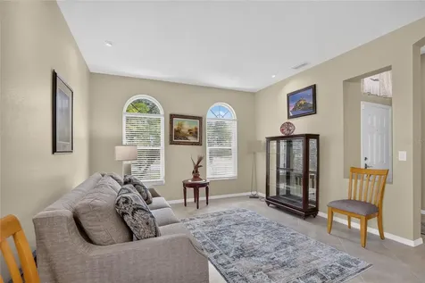 11115 Silver Dancer Drive Riverview FL 33579