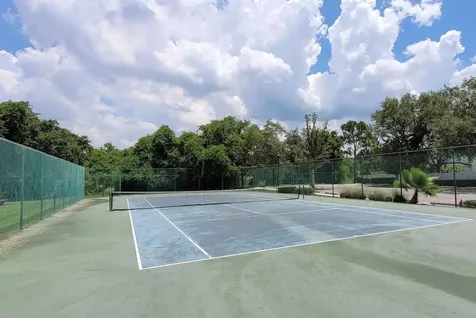 11115 Silver Dancer Drive Riverview FL 33579