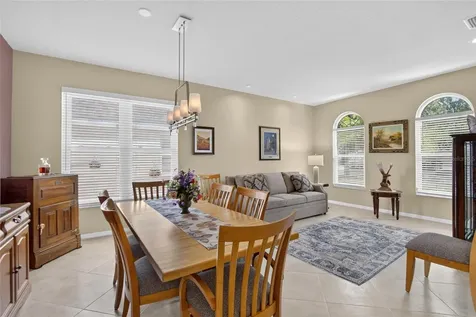 11115 Silver Dancer Drive Riverview FL 33579