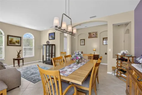 11115 Silver Dancer Drive Riverview FL 33579