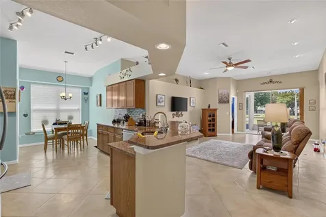11115 Silver Dancer Drive Riverview FL 33579