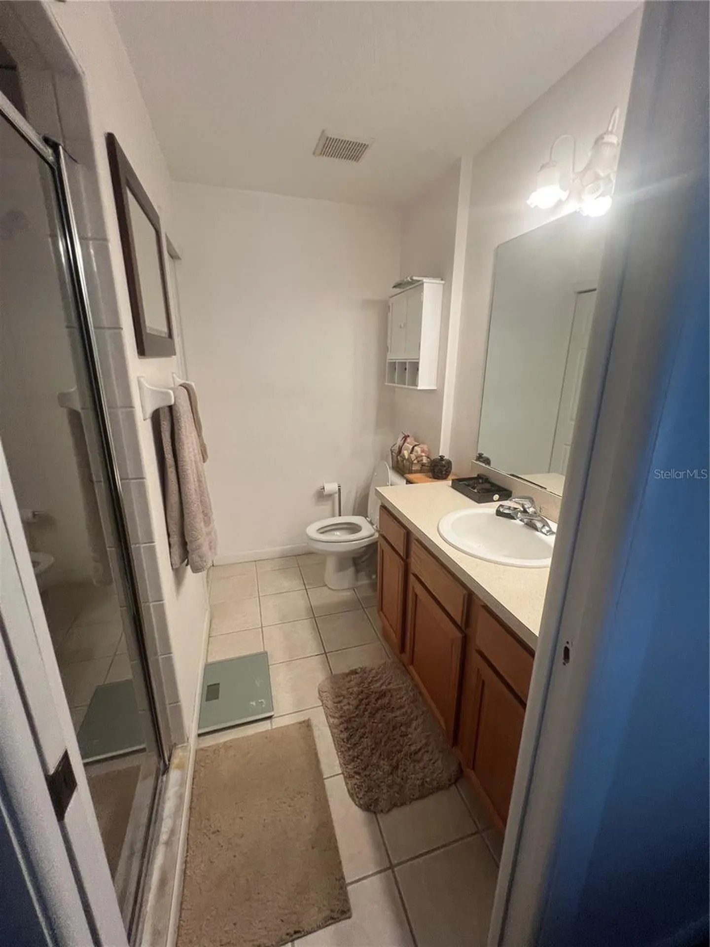 1120 S Mary Street Eustis FL 32726