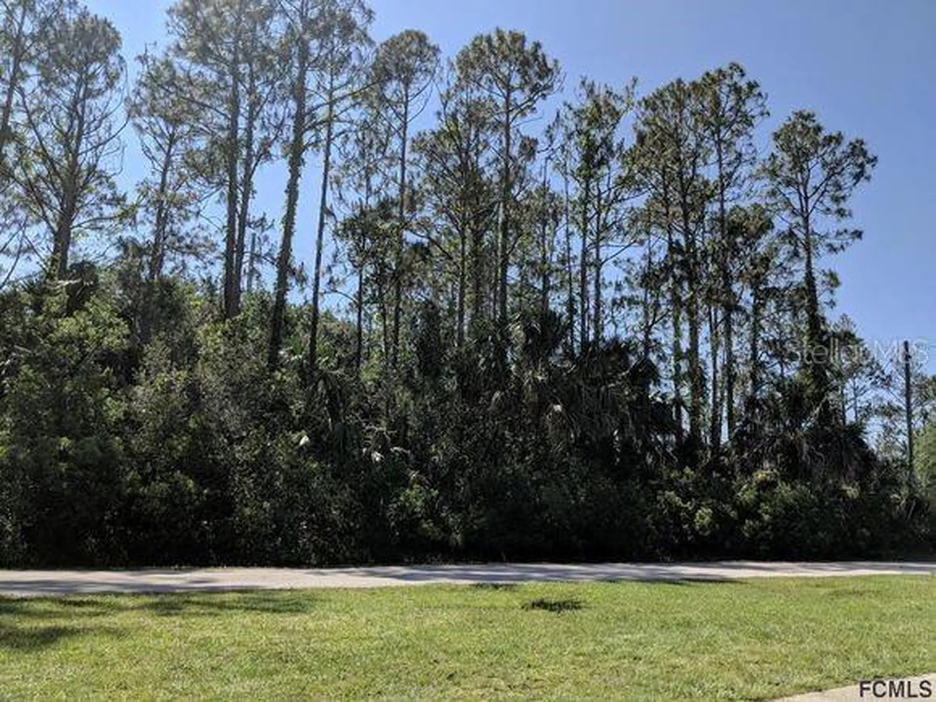 32 Serbian Bellflower Trail Palm Coast FL 32164