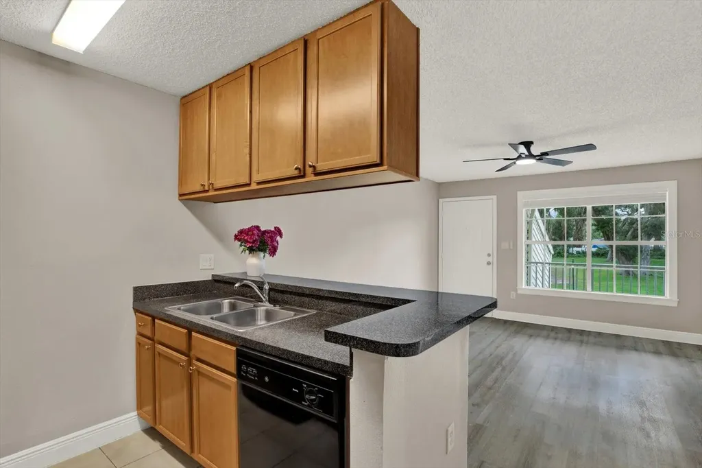 308 Lake Parsons Green Brandon FL 33511