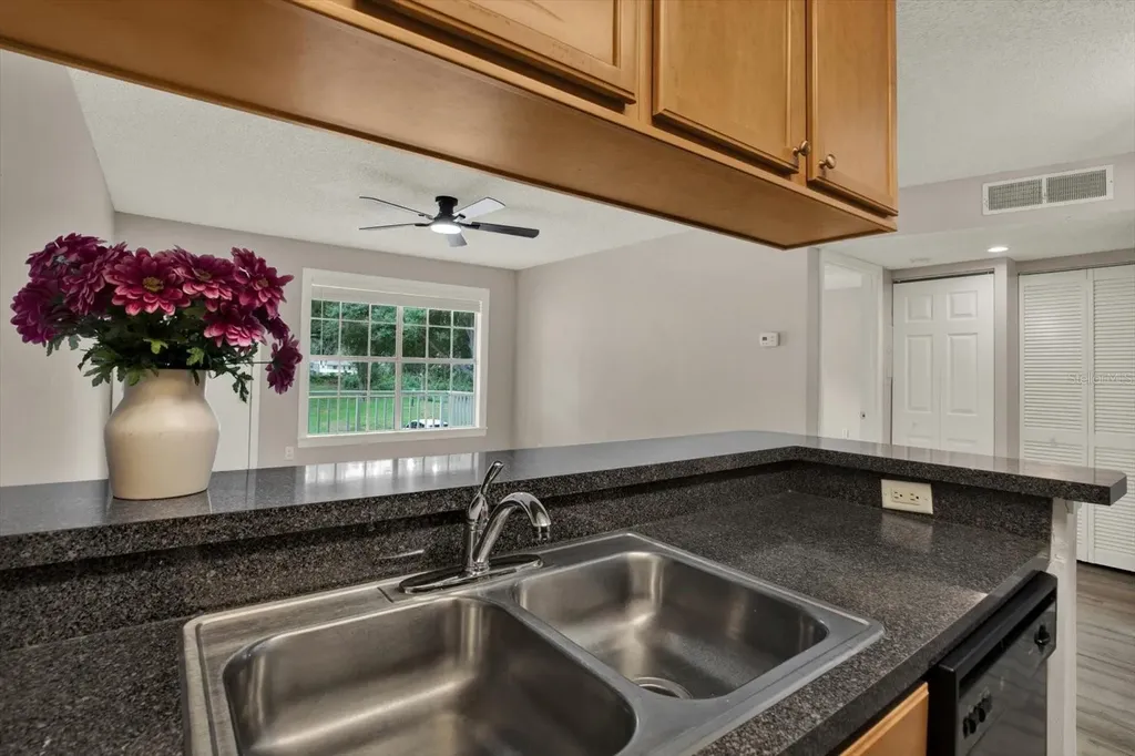 308 Lake Parsons Green Brandon FL 33511