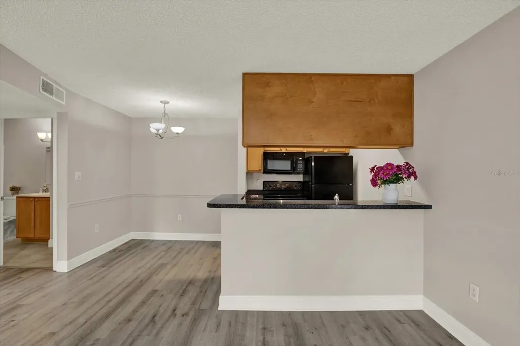 308 Lake Parsons Green Brandon FL 33511