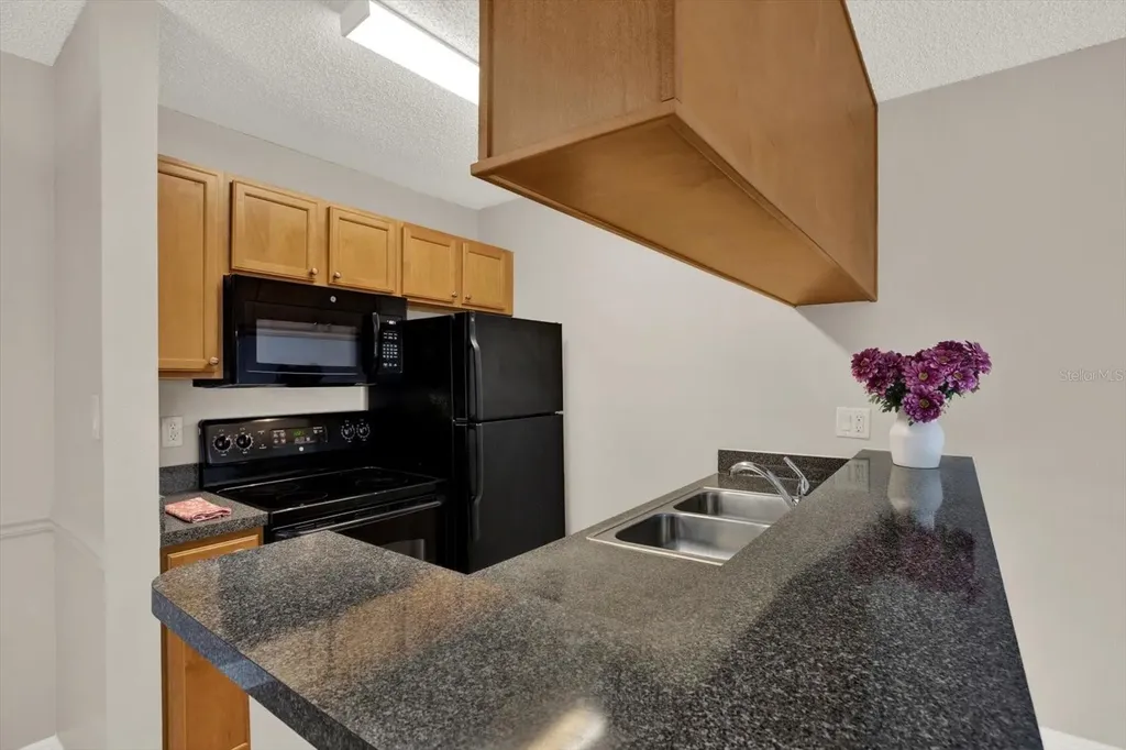 308 Lake Parsons Green Brandon FL 33511