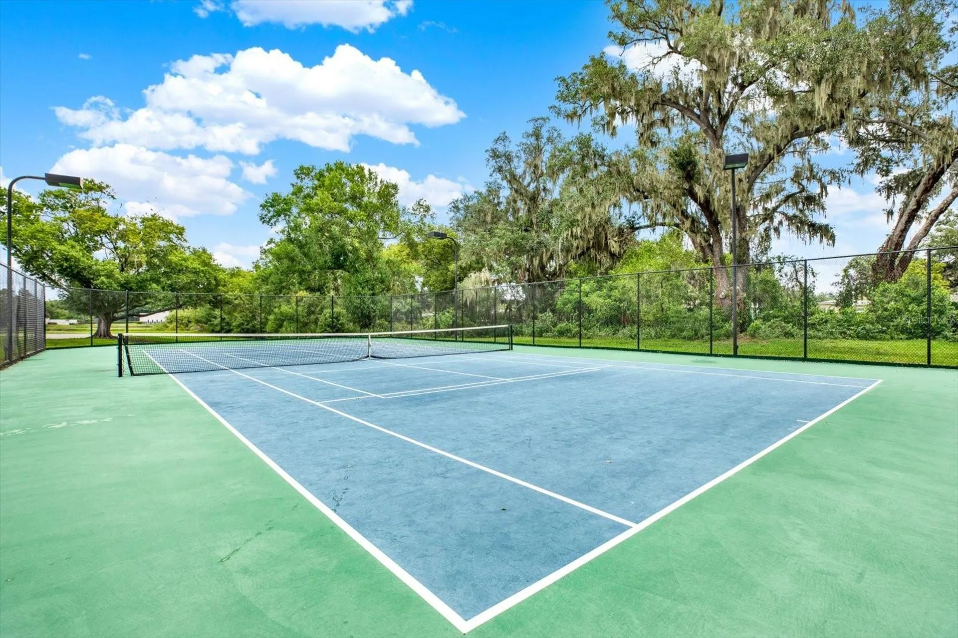 308 Lake Parsons Green Brandon FL 33511