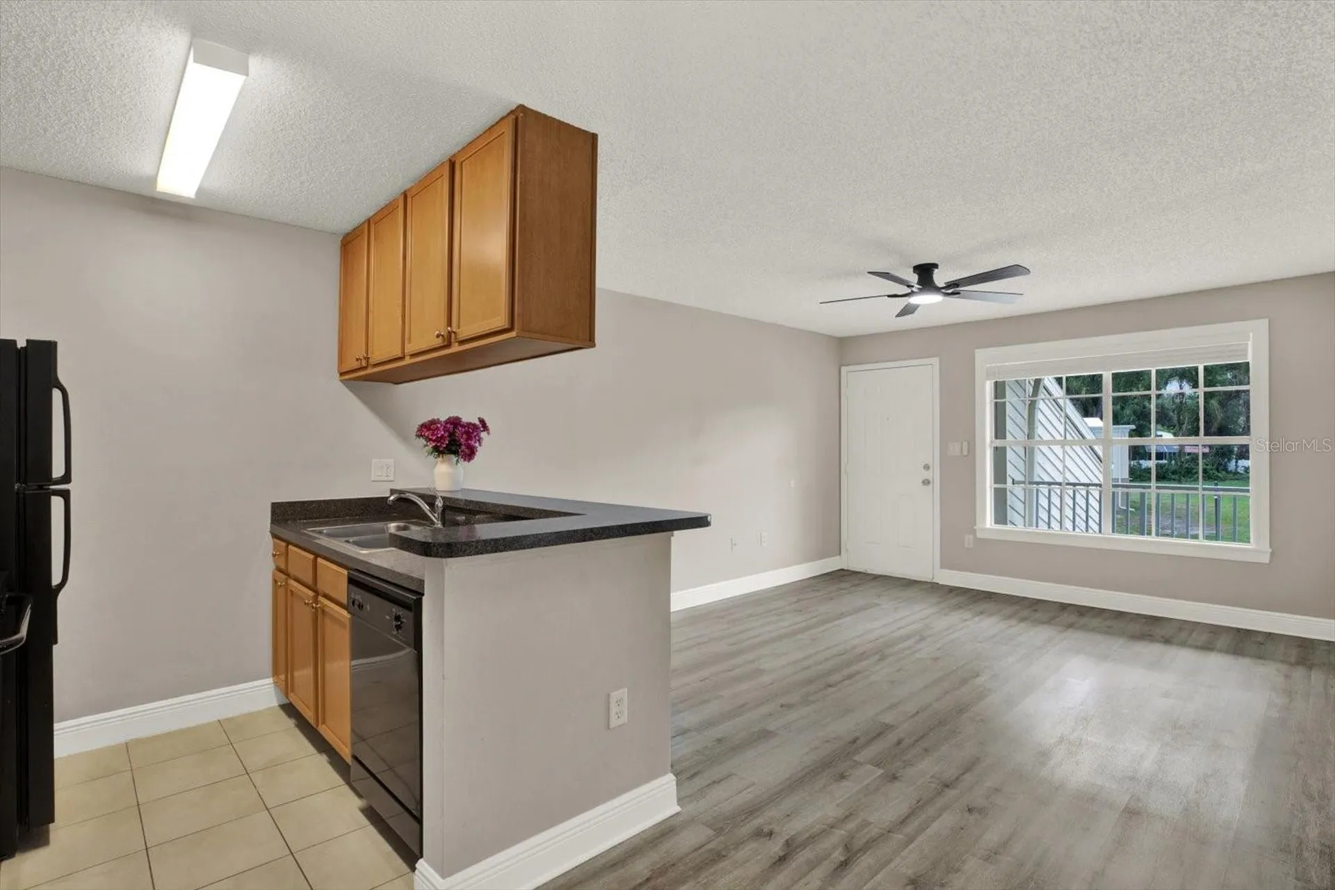 308 Lake Parsons Green Brandon FL 33511