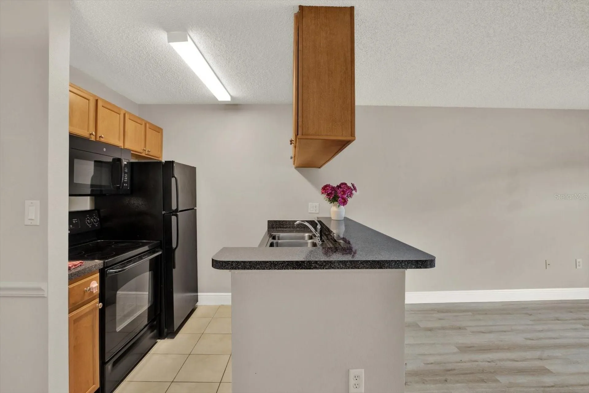 308 Lake Parsons Green Brandon FL 33511