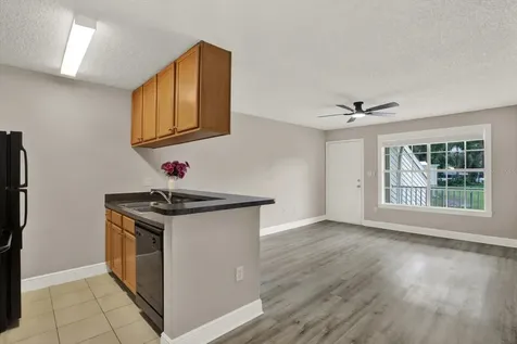 308 Lake Parsons Green Brandon FL 33511