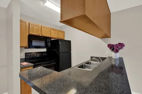 308 Lake Parsons Green Brandon FL 33511
