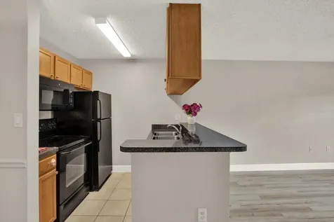 308 Lake Parsons Green Brandon FL 33511