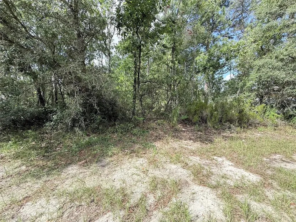 Tbd SW 65th Avenue Road Ocala FL 34473