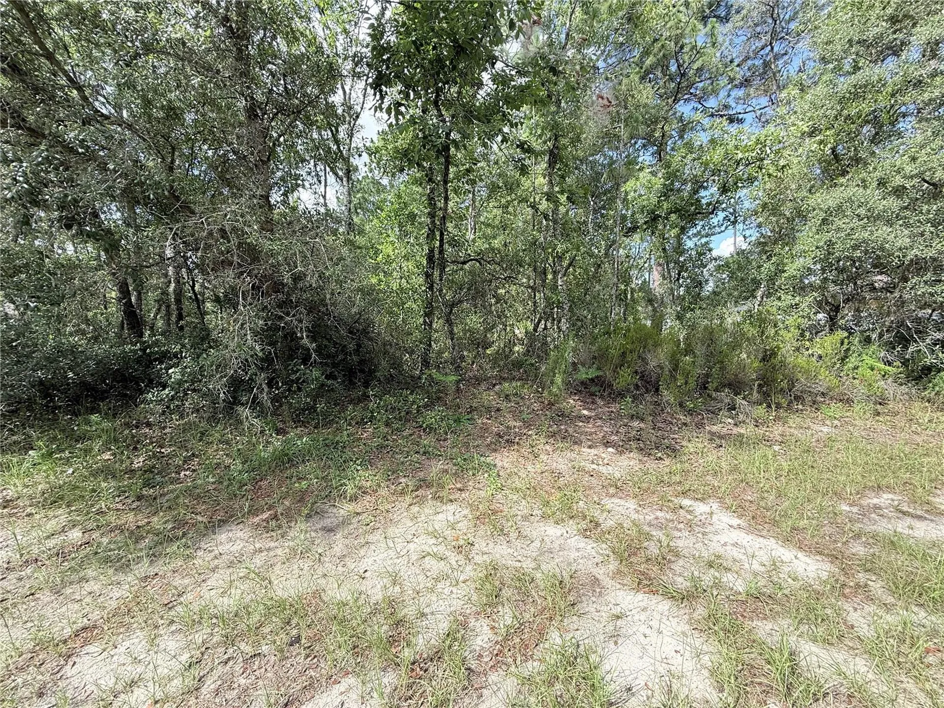 Tbd SW 65th Avenue Road Ocala FL 34473
