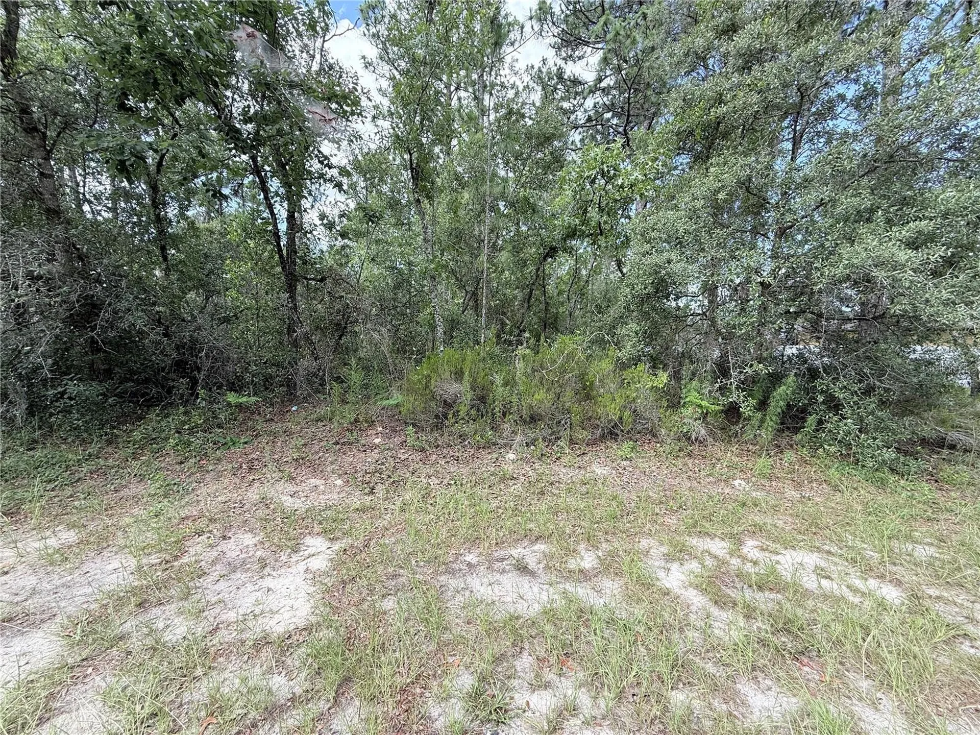Tbd SW 65th Avenue Road Ocala FL 34473