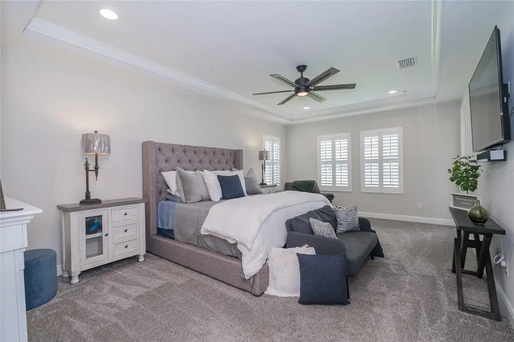 8687 Birchleaf Court Land O Lakes FL 34637