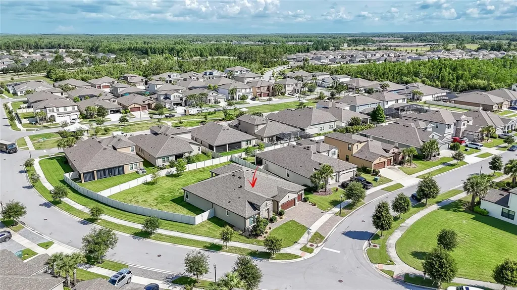 8687 Birchleaf Court Land O Lakes FL 34637
