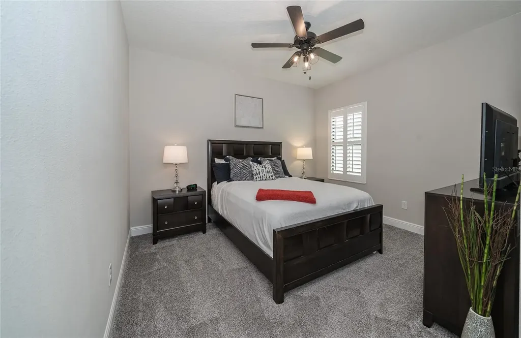 8687 Birchleaf Court Land O Lakes FL 34637