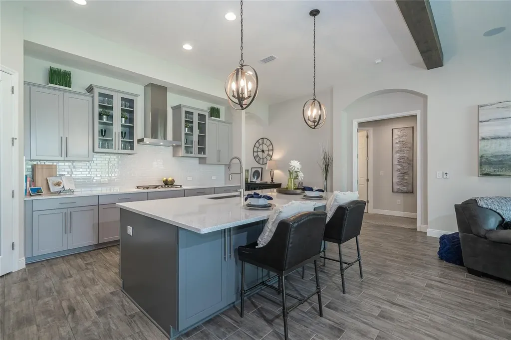 8687 Birchleaf Court Land O Lakes FL 34637