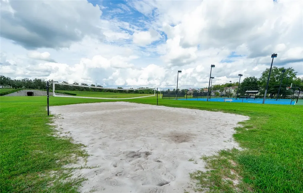 8687 Birchleaf Court Land O Lakes FL 34637