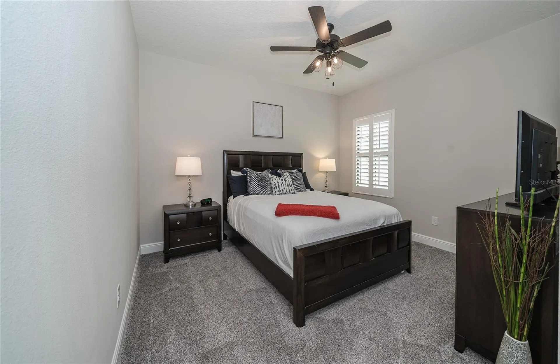 8687 Birchleaf Court Land O Lakes FL 34637